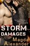 [Storm Damages 01] • Storm Damages